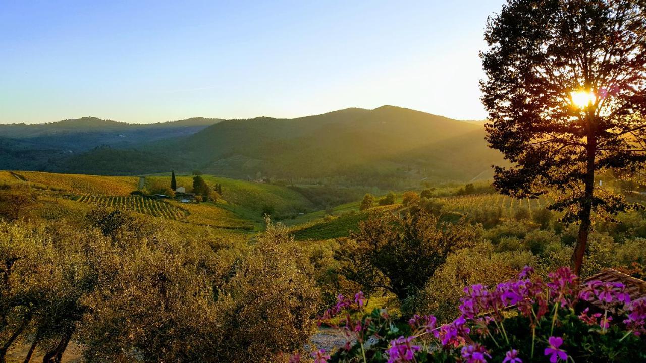 Terre Di Melazzano - Le Case Di Chiara Greve in Chianti Buitenkant foto