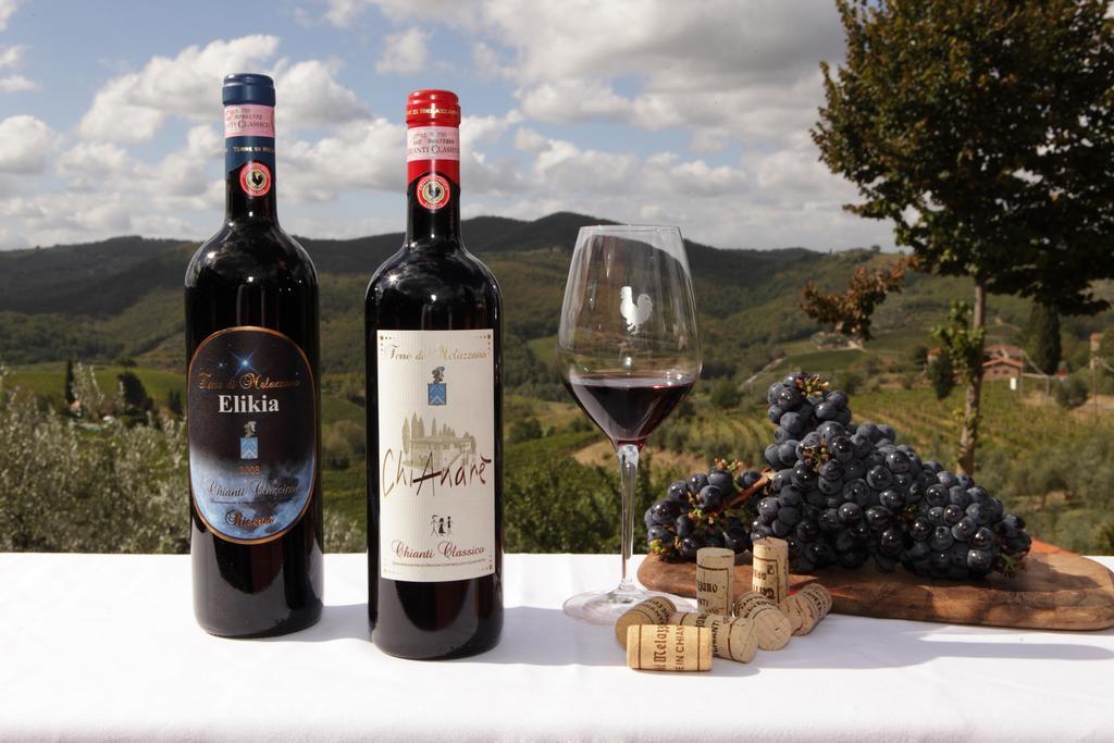 Terre Di Melazzano - Le Case Di Chiara Greve in Chianti Buitenkant foto