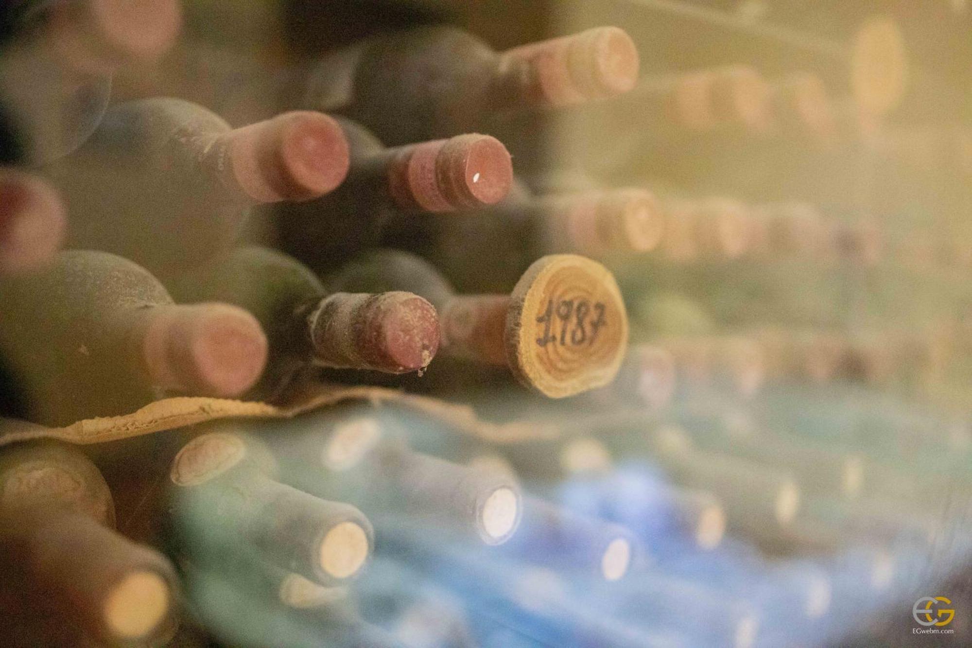 Terre Di Melazzano - Le Case Di Chiara Greve in Chianti Kamer foto