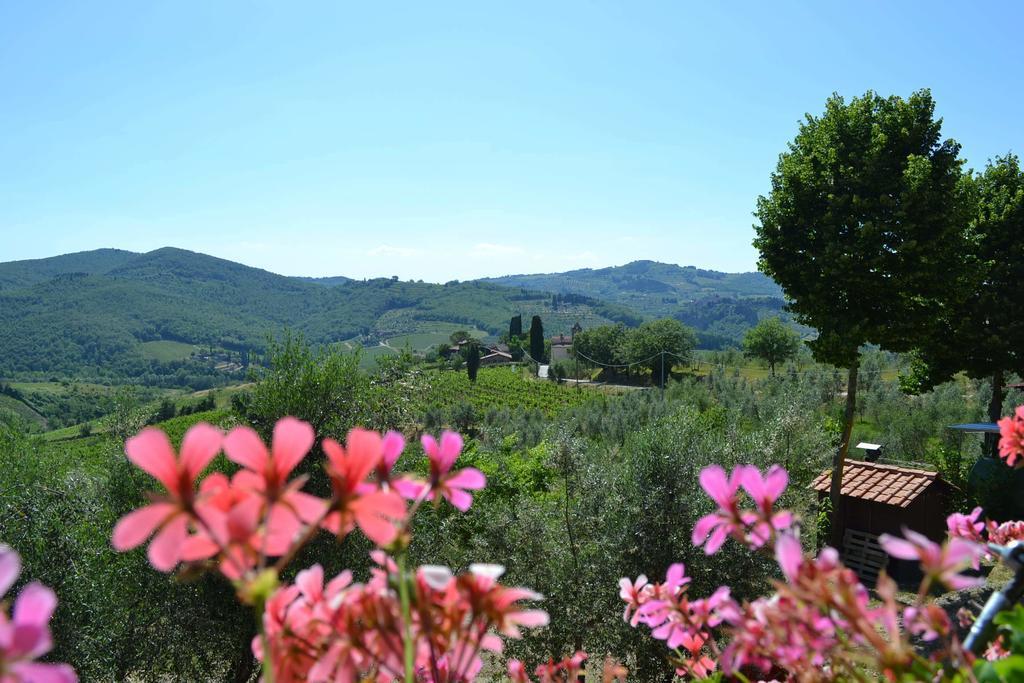 Terre Di Melazzano - Le Case Di Chiara Greve in Chianti Buitenkant foto