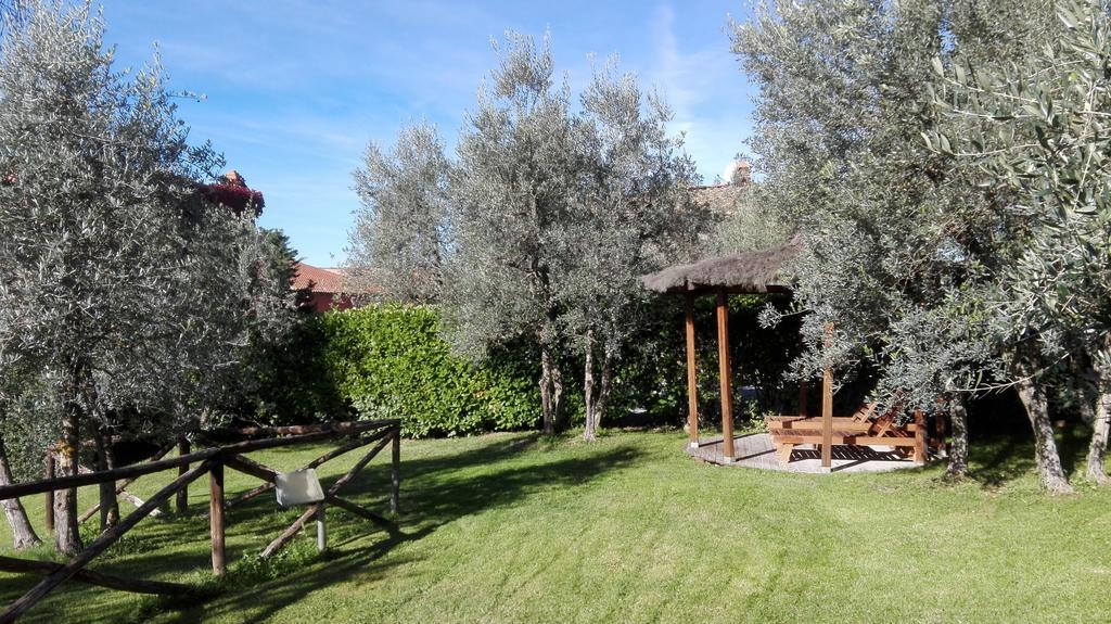 Terre Di Melazzano - Le Case Di Chiara Greve in Chianti Buitenkant foto