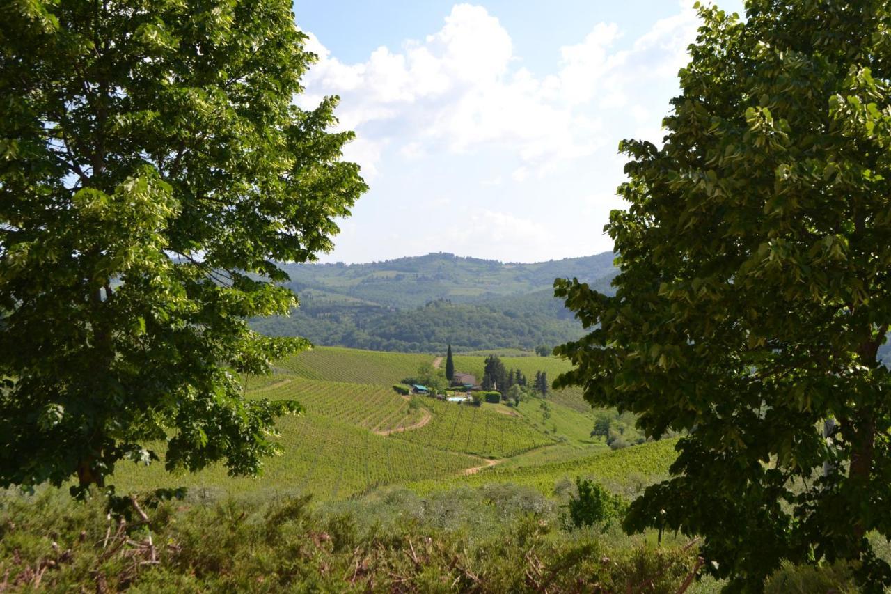 Terre Di Melazzano - Le Case Di Chiara Greve in Chianti Buitenkant foto