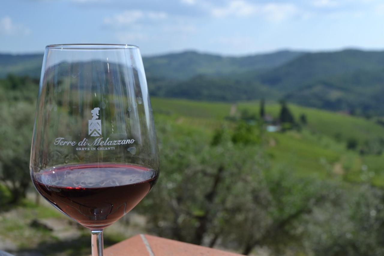 Terre Di Melazzano - Le Case Di Chiara Greve in Chianti Buitenkant foto