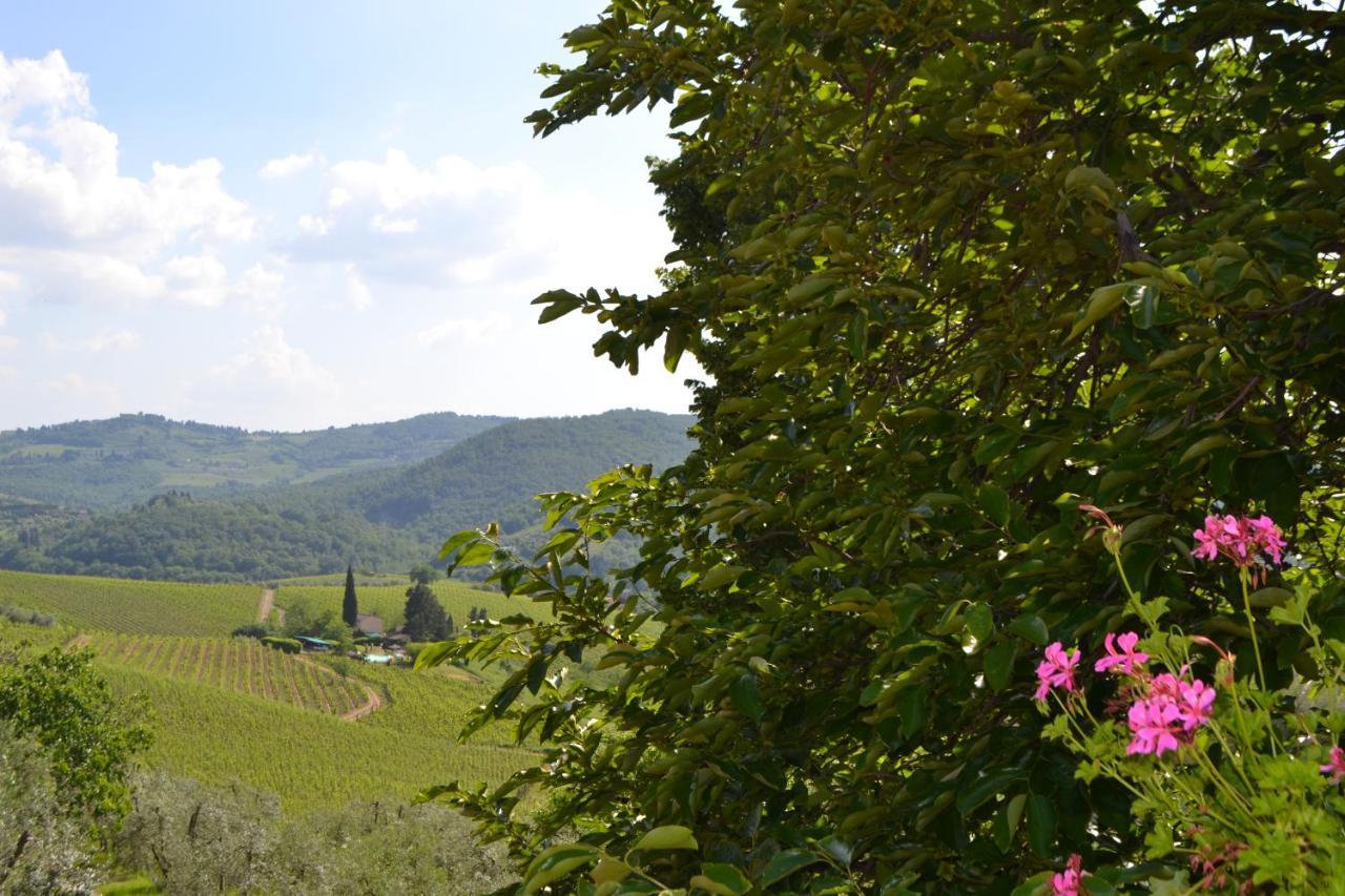 Terre Di Melazzano - Le Case Di Chiara Greve in Chianti Buitenkant foto